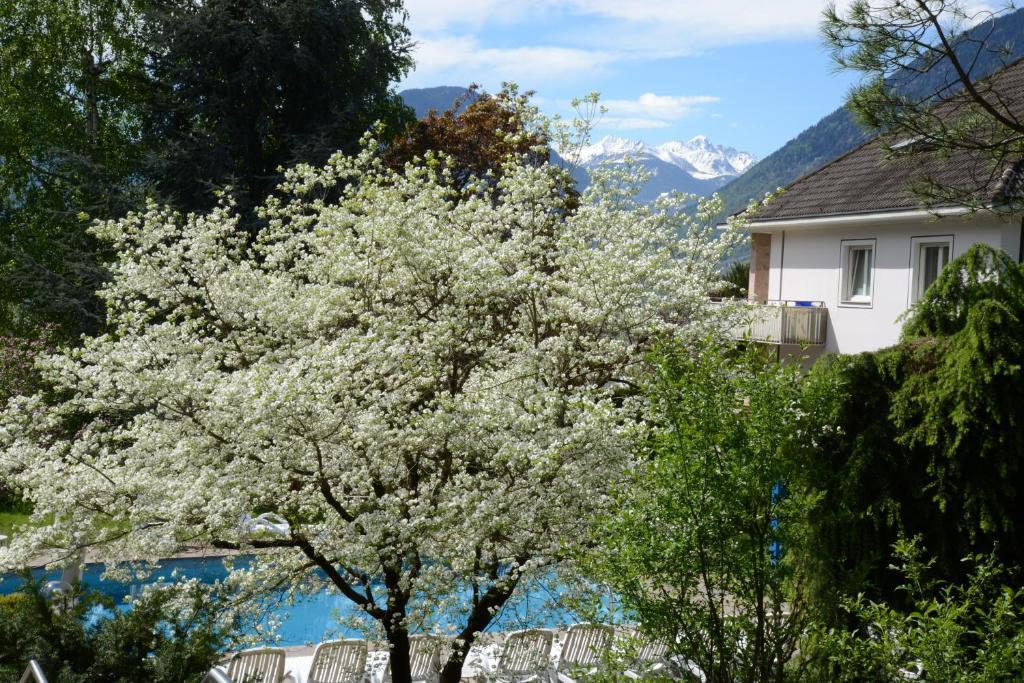 Hotel Tannerhof Мерано Екстериор снимка